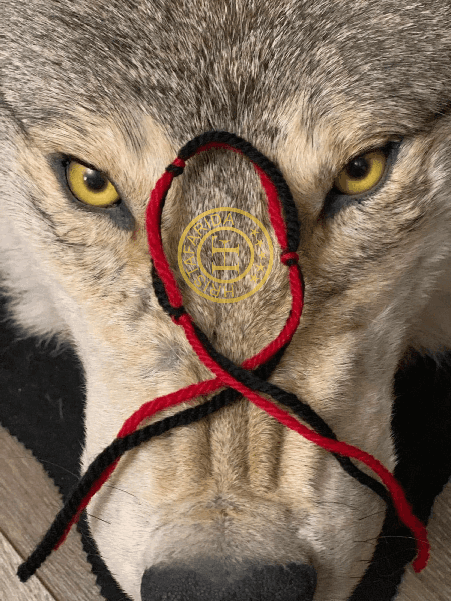 Шаманская нить Христафариды