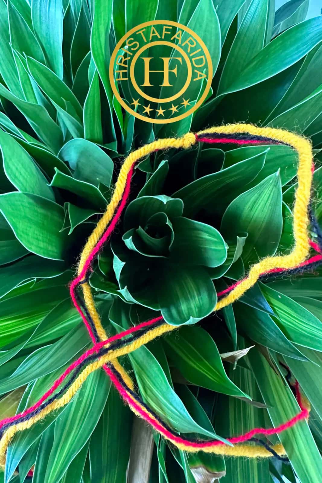 Нить "Магия Вселенной ХФ"