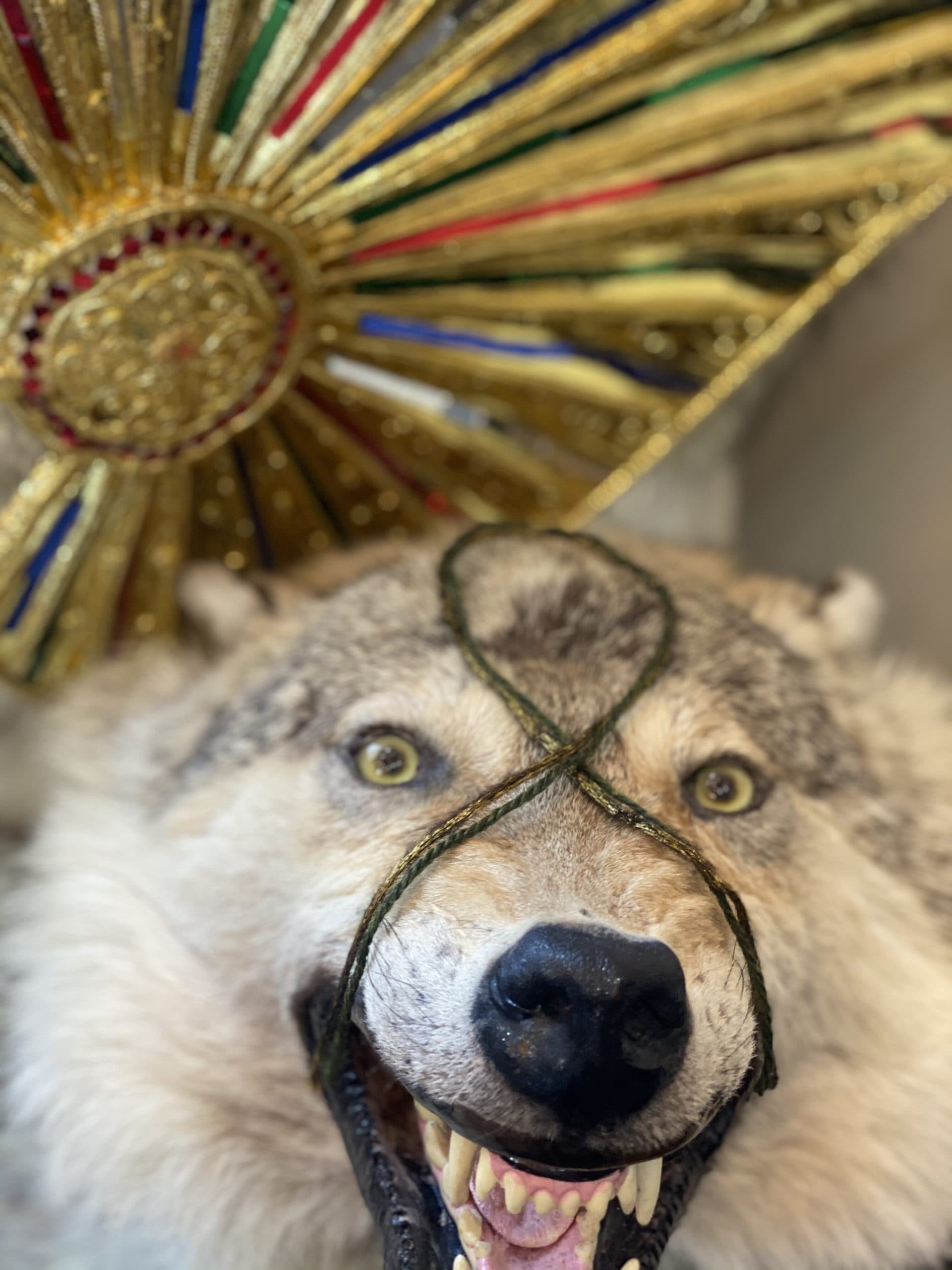 Нить "Олигарх"