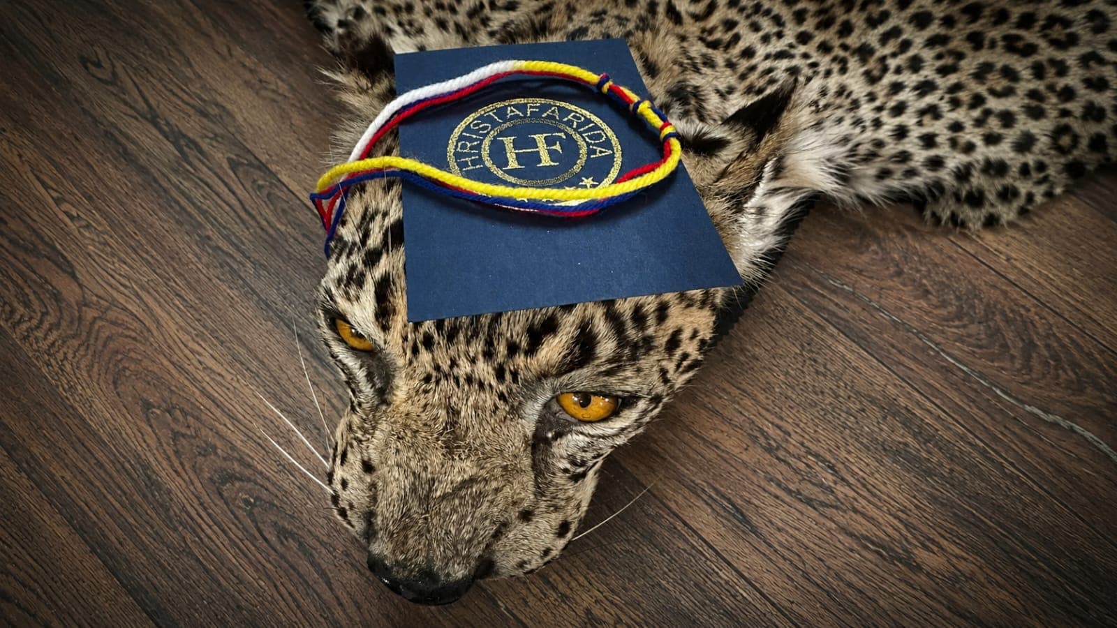 ТОТЕМНАЯ НИТЬ ЛЕОПАРДА