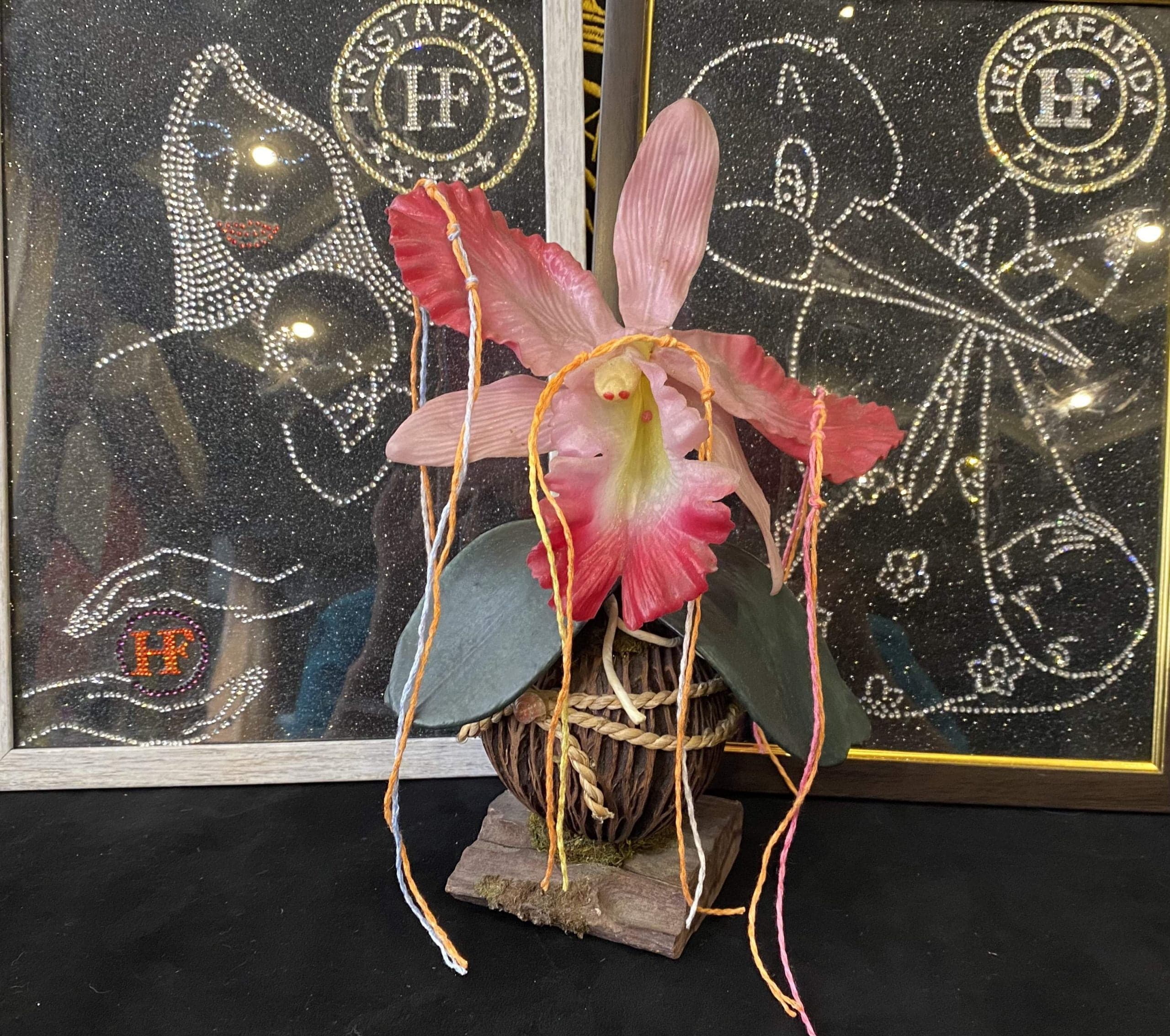 Нить Hristafarida для беременных